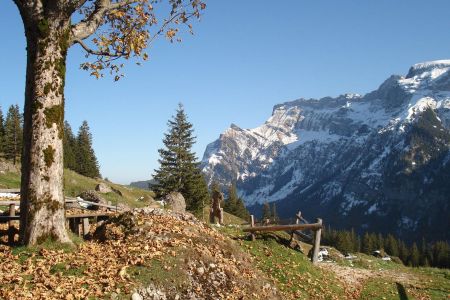 unser Hausberg Pilatus