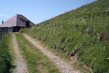 unsere Alp Stächimoos